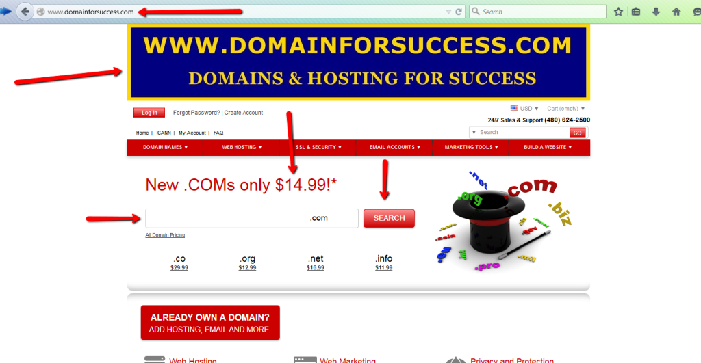 DomainForSuccess